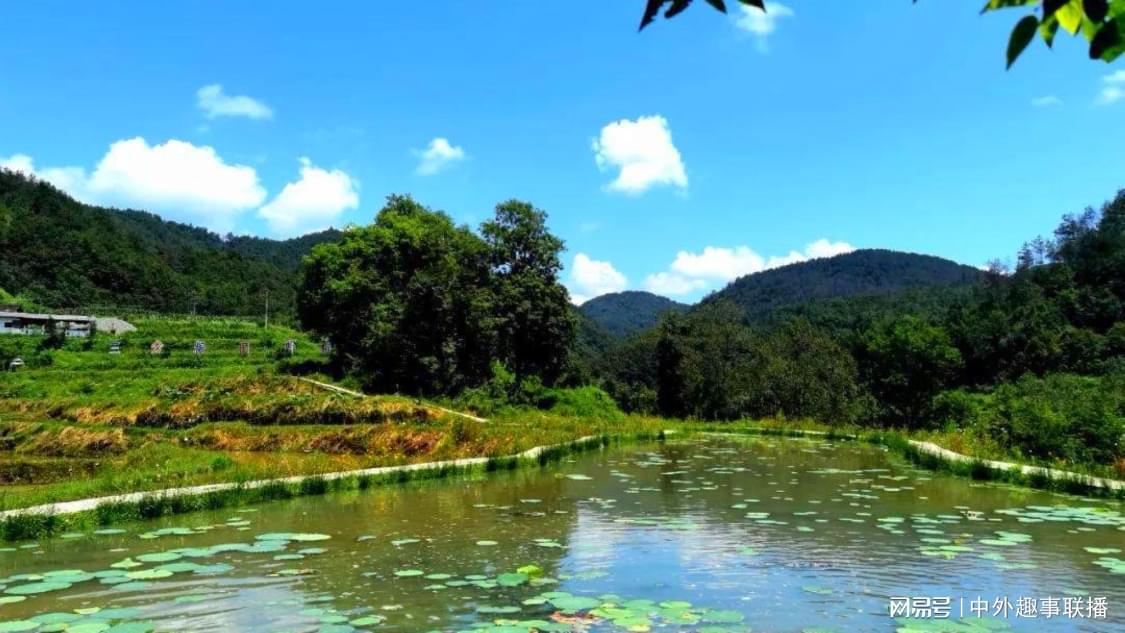 小时自助下单dy播放量：深度优化数字内容策略指南_抖音真人双击网址