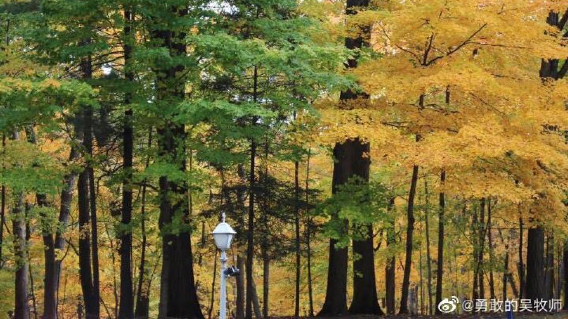 快手涨赞平台秒到