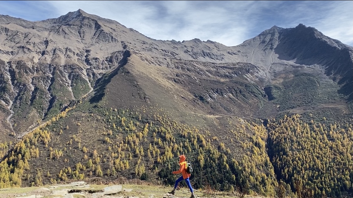 美国回应普京宣布临时停火